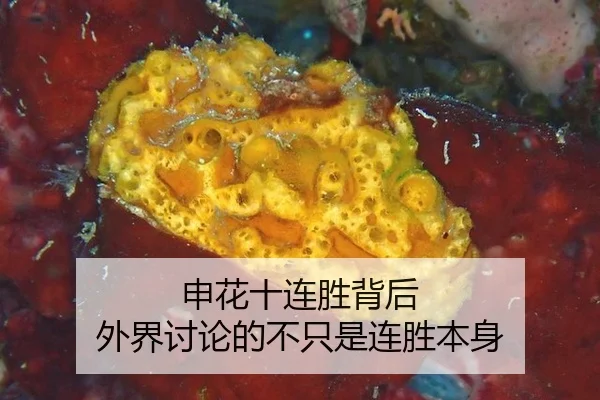 shen-hua-shi-lian-sheng-bei-hou-wai-jie-tao-lun-de-bu-zhi-shi-lian-sheng-ben-shen-2-170.jpg