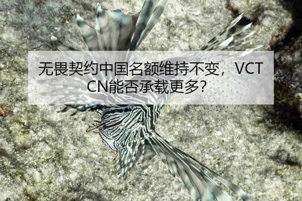 无畏契约中国名额维持不变，VCT CN能否承载更多？